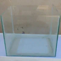 اکواریم نو سایز کوچیک