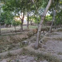 باغ در اسفنجان اسکو|فروش زمین و ملک کلنگی|اسکو, |دیوار