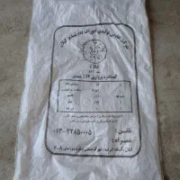 کیسه