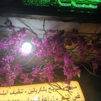 گیاهان مصنوعی درحدطبیعی