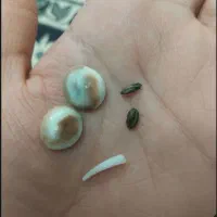 مهره|بدلیجات|کرج, خرمدشت|دیوار