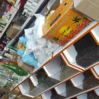 فروش کلیه اجناس عطاری|فروشگاه و مغازه|تهران, مسعودیه|دیوار