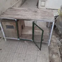 قفس پرنده و طیور|لوازم جانبی حیوانات|گنبد کاووس, |دیوار