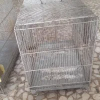 قفس ریز بافت