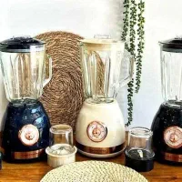 مخلوط کن دو کاره وگاتی(گارانتی دار)