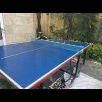 میز پینک پنگ فردوس|تجهیزات ورزشی|چالوس, |دیوار