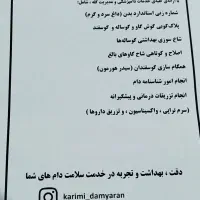 امور دامداری گاو گوساله گوسفند اسب