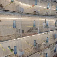 قصر پرنده انواع قفس پرنده و قفس و ملزومات پرنده|لوازم جانبی حیوانات|مشهد, آزادشهر|دیوار