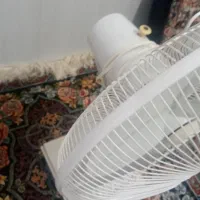 پنکه پارس خرز|پنکه و تصفیه‌کنندهٔ هوا|سبزوار, هفت تیر|دیوار