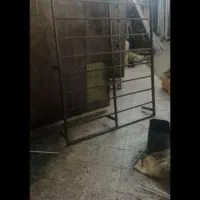 کفی تخت کوره ای|تشک تختخواب|مشهد, گرجی علیا|دیوار
