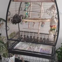 قفس پایه دار بزرگ