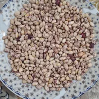 لوبیا چیتی تازه
