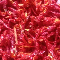 پاپریکا درجه یک