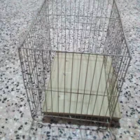 فانوس|کلکسیون و سرگرمی|گرگان, |دیوار