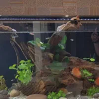 اکواریوم ۶۰×۹۰