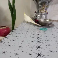 عروس هلندی نر دستی...|پرنده|کرج, ملک‌آباد|دیوار