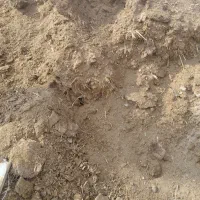 کود حیوانی گاوی گوسفندی