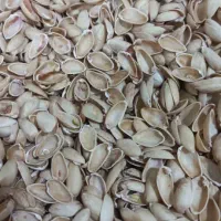 فروش پوست پسته