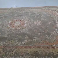 فرش ماشینی دوازده متری|فرش|اردبیل, |دیوار