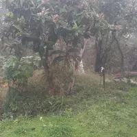 اجاره خانه ویلایی|اجارهٔ خانه و ویلا|رشت, حومه رشت|دیوار