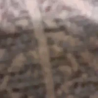 پراید هاچبک