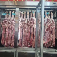 نیروی ماهرقصاب ومرغ کار