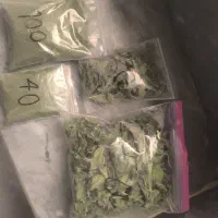 نعنا خانگی خشک پودر و برگ