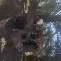 فروش گاو اهن(شخم)۲۰ تومن