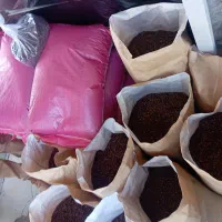 پخش قهوه|خوردنی و آشامیدنی|نیشابور, هفده شهریور|دیوار