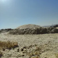 کاه سرخوشه درجه یک