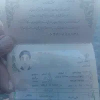 شناسنامه پیدا شده