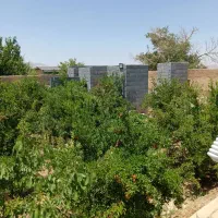 باغ نقلی باصفا منظریه