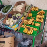 پالت میوه فروشی|فروشگاه و مغازه|تهران, مینابی|دیوار