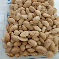 بادام|خوردنی و آشامیدنی|شیراز, قلعه نو|دیوار