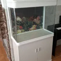 اکواریوم دلسا