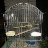 قفس کاسکویی