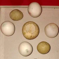 الماس آسیاب