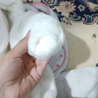 لباس جدید برا بچه|کفش و لباس بچه|قیدار, |دیوار