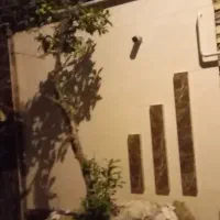 نظافتچی خانم