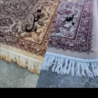 قالیشویی شهرما سنگر