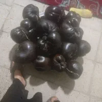هیزه