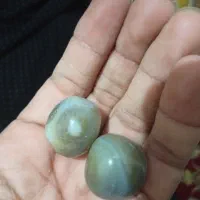 مهرهای سلیمانی نر و ماده هستن