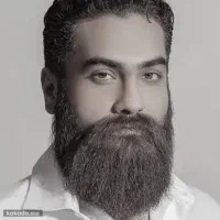 2 بلیط کنسرت علی زندوکیلی