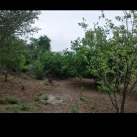 موتور کنتواتره زانو اصل سری اول