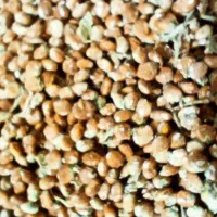 سماق اعلای تویسرکان بسیار درجه یک