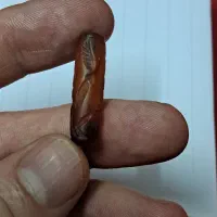 مهره قدیمی|کلکسیون اشیاء عتیقه|اصفهان, خانه اصفهان|دیوار