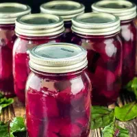 ترشی،شور،زیتون پرورده اصیل گیلانی