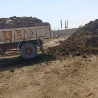 کود حیوانی کود پوسیده|خدمات باغبانی و درختکاری|رباطکریم, رباطکریم|دیوار