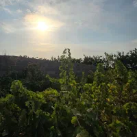 باغ و باغچه تحویل بنا یک ماهه سند دار قابل استفاده|فروش خانه و ویلا|شهریار, شهریار|دیوار