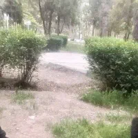 تشکیل گروه گردشگری خبر.بافت